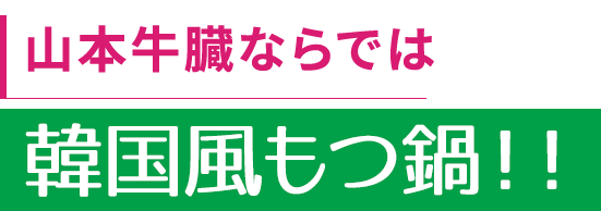 韓国風もつ鍋！！