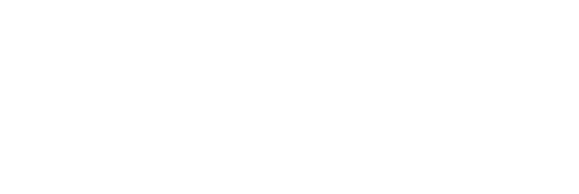 ホームパーティーなど お集まりの際に